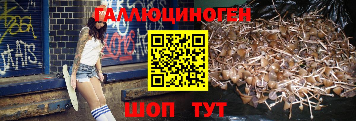 Галлюциногенные грибы GOLDEN TEACHER Железногорск
