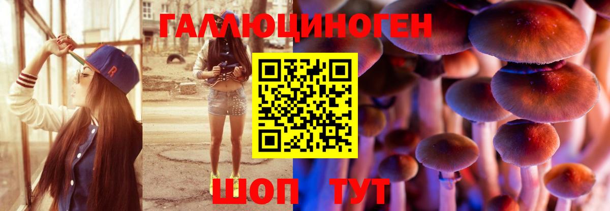 Железногорск  Галлюциногенные грибы Psilocybine cubensis  Вход с VPN  даркнет сайт  Галлюциногенные грибы GOLDEN TEACHER 